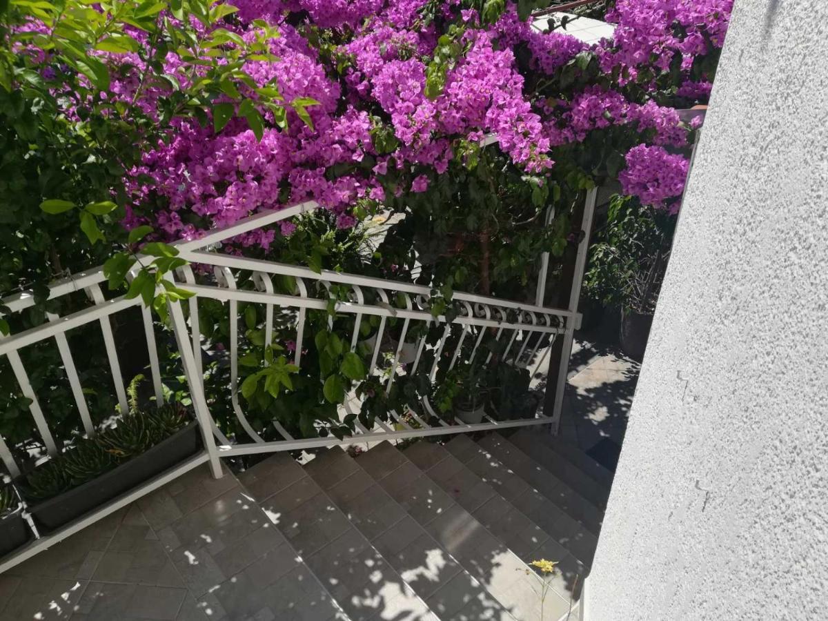 Hotel Dalmati House Brodarica  Exterior foto